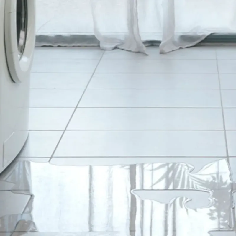Appliance Leak Cleanup in Boulder Hill, IL