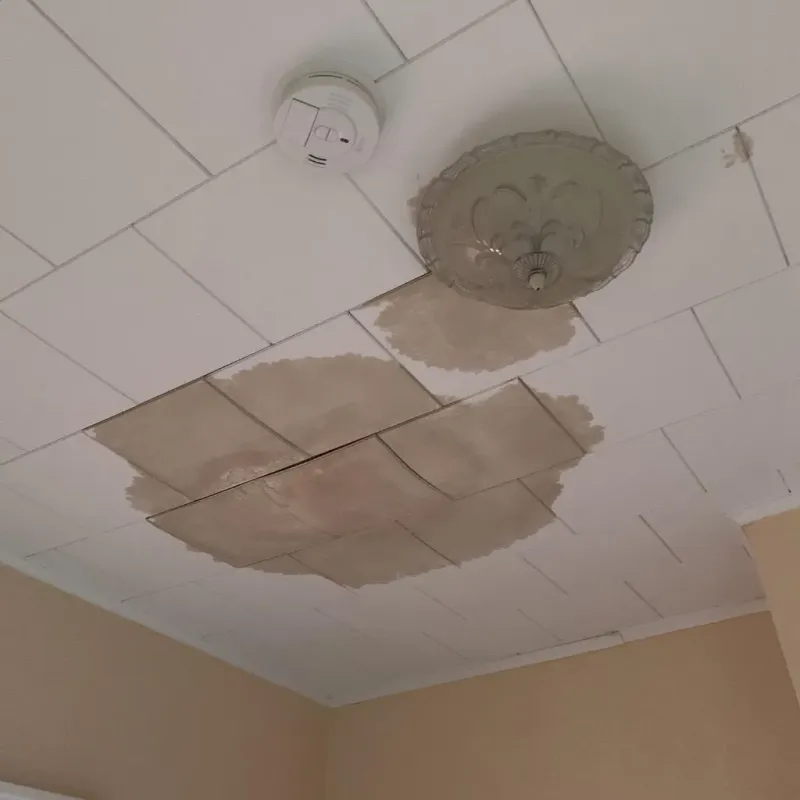 Ceiling Water Damage Repair in Boulder Hill, IL
