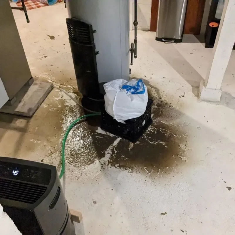 Sewage Backup Cleanup Service in Boulder Hill, IL
